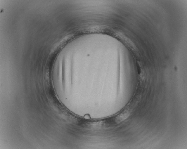 X0000075870306200610062009