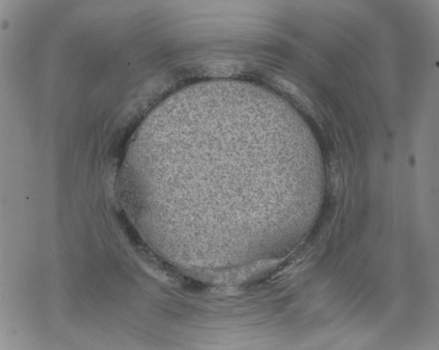 X0000075870307200610062009