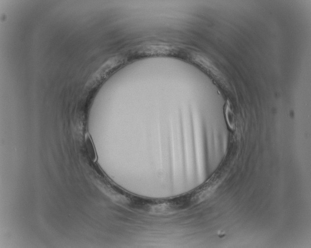 X0000075870309200610062009