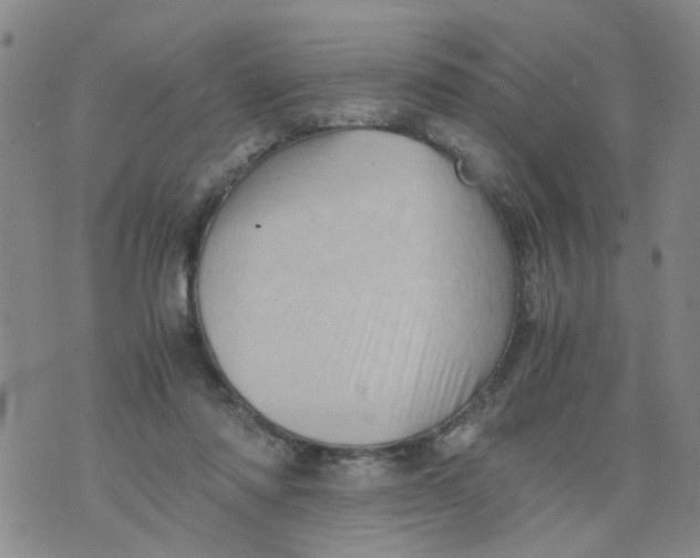 X0000075870310200610062009