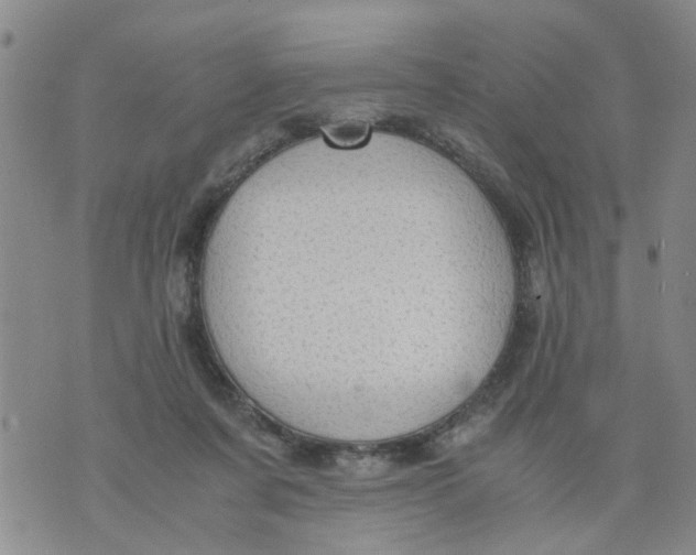 X0000075870311200610062009