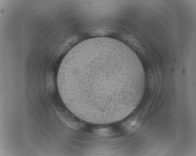 X0000075870312200610062009