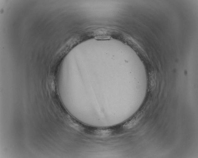 X0000075870313200610062009