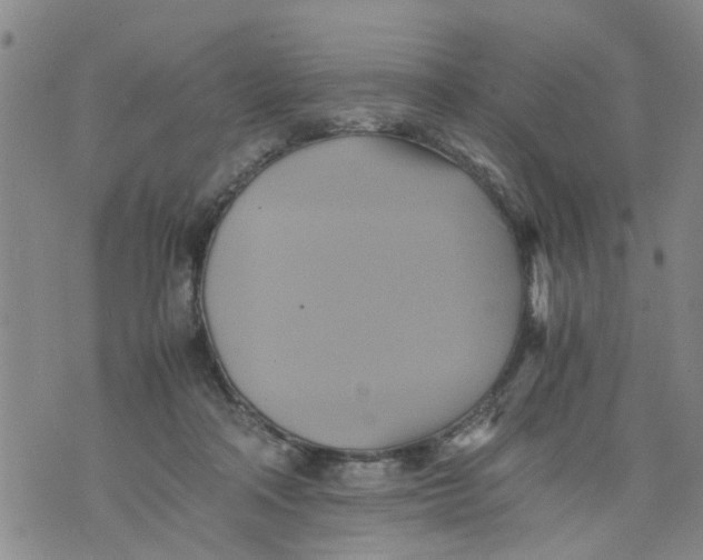 X0000075870314200610062009