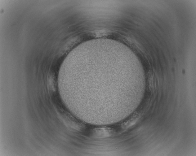 X0000075870316200610062009