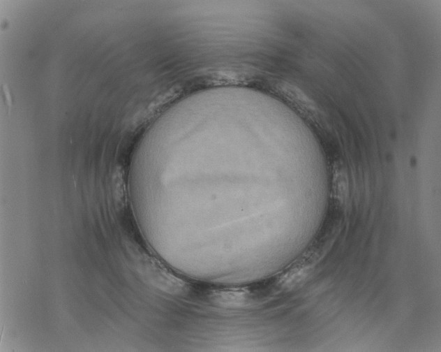 X0000075870318200610062009