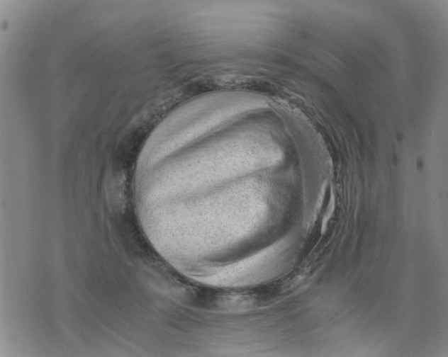 X0000075870319200610062009