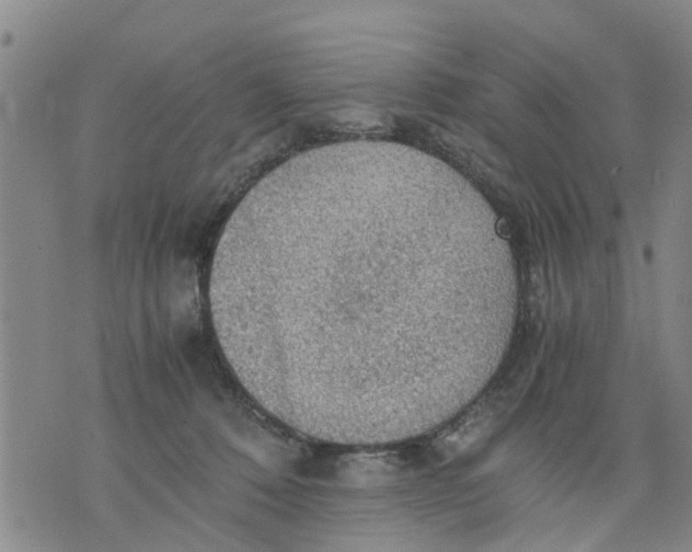 X0000075870320200610062009