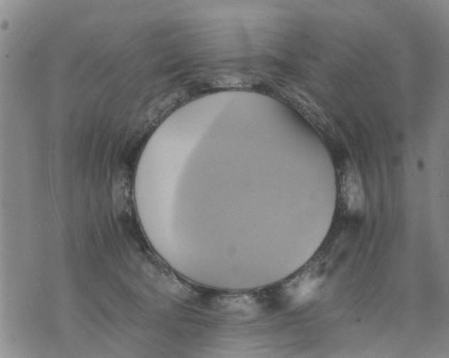 X0000075870322200610062009