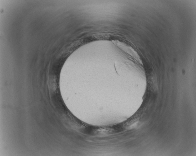 X0000075870323200610062009