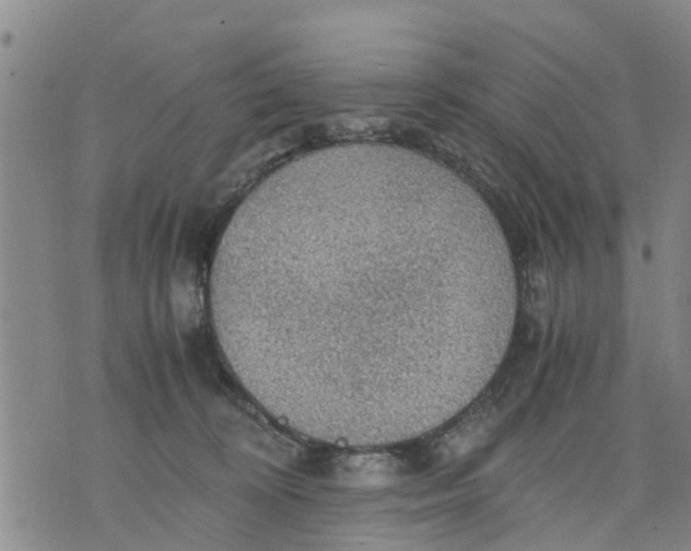 X0000075870324200610062009