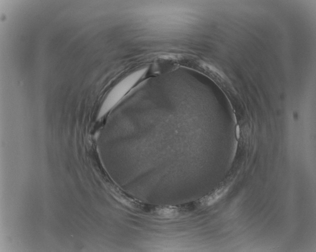 X0000075870325200610062009