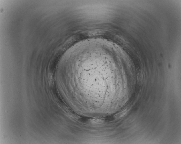 X0000075870327200610062009