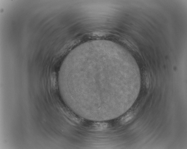 X0000075870328200610062009