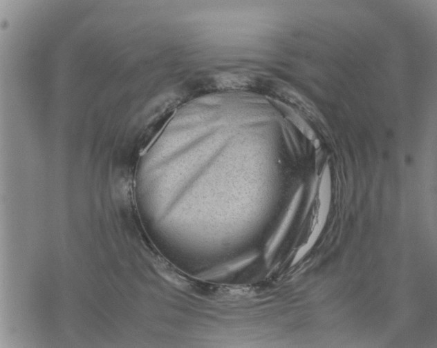 X0000075870329200610062009