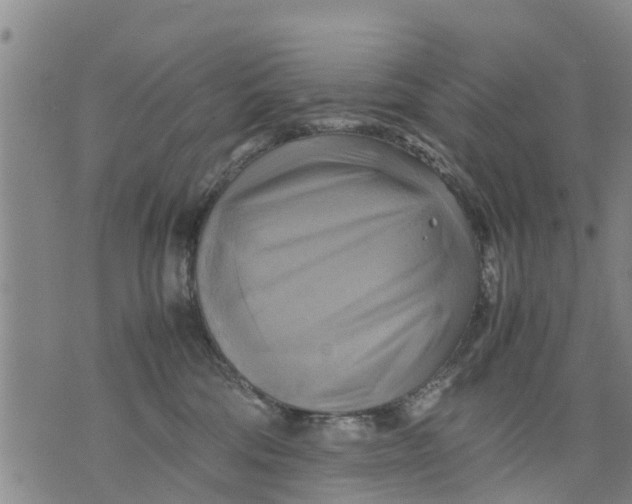 X0000075870330200610062009