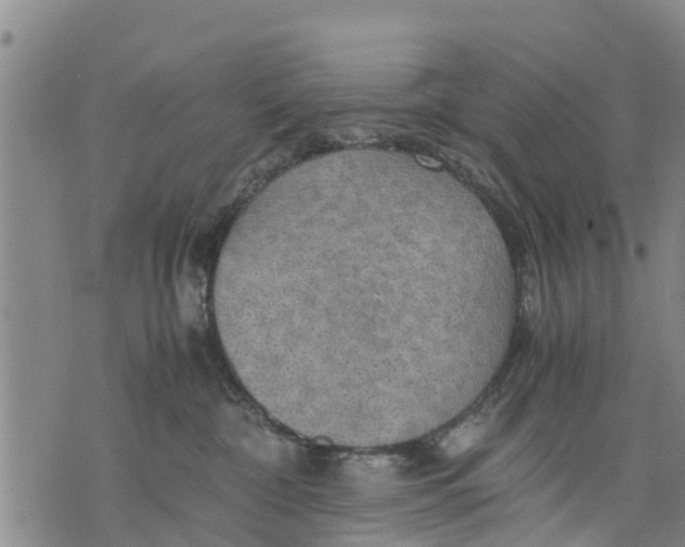 X0000075870332200610062009