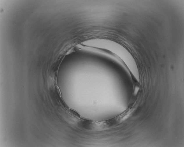 X0000075870333200610062009