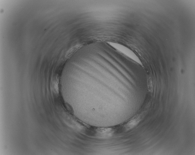 X0000075870334200610062009