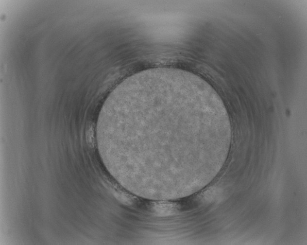 X0000075870336200610062009