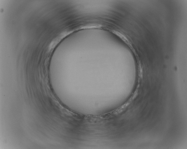 X0000075870337200610062008