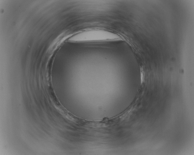 X0000075870339200610062008