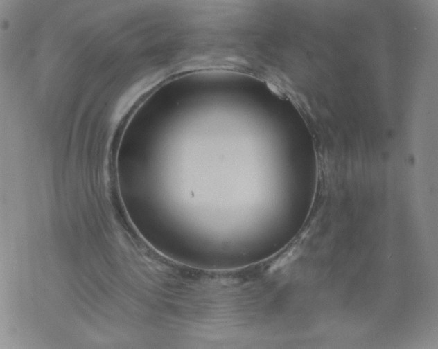 X0000075870340200610062008