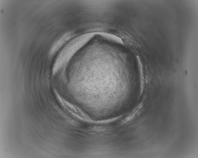 X0000075870341200610062008