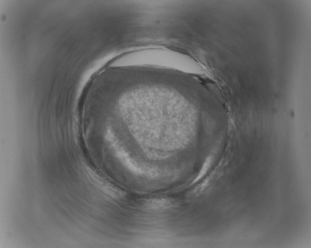 X0000075870342200610062008