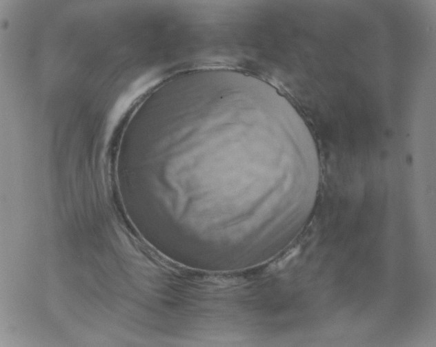 X0000075870343200610062008