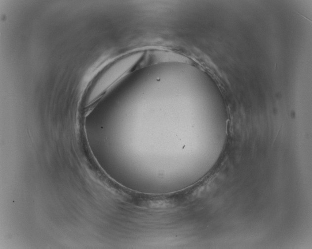 X0000075870344200610062008