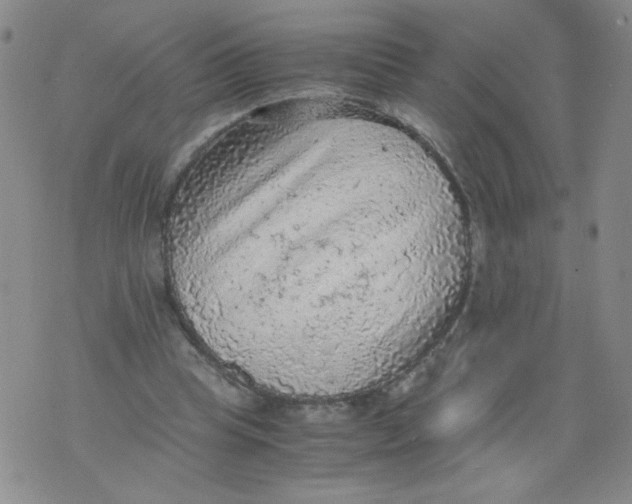 X0000075870345200610062008