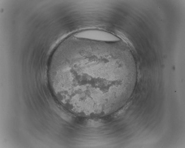 X0000075870346200610062008