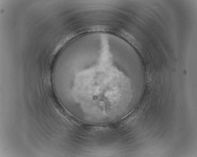 X0000075870347200610062008