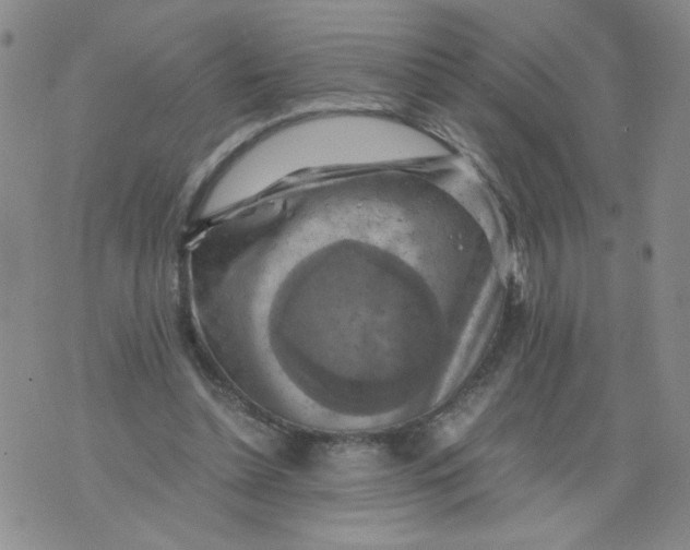 X0000075870348200610062008