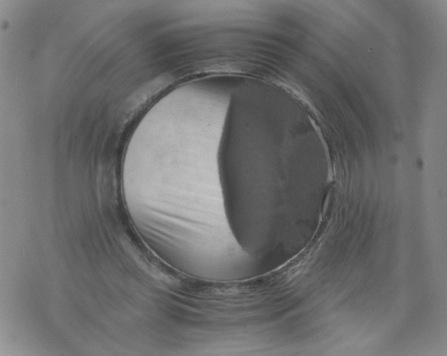 X0000075870349200610062008