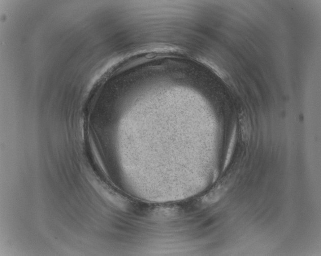 X0000075870350200610062008