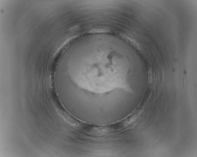 X0000075870351200610062008