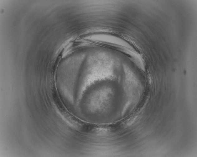 X0000075870352200610062008