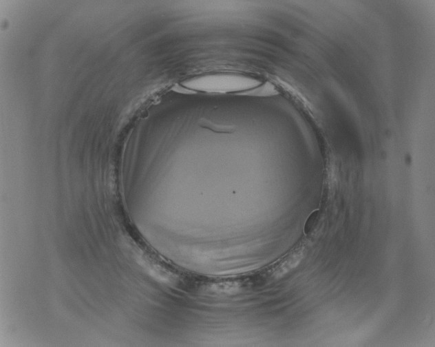 X0000075870353200610062008