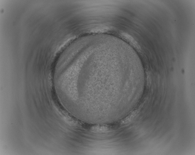 X0000075870354200610062008