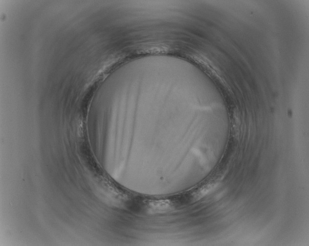 X0000075870355200610062008