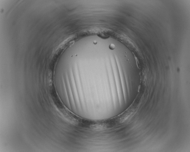 X0000075870356200610062008