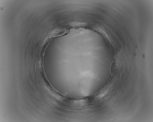 X0000075870357200610062008