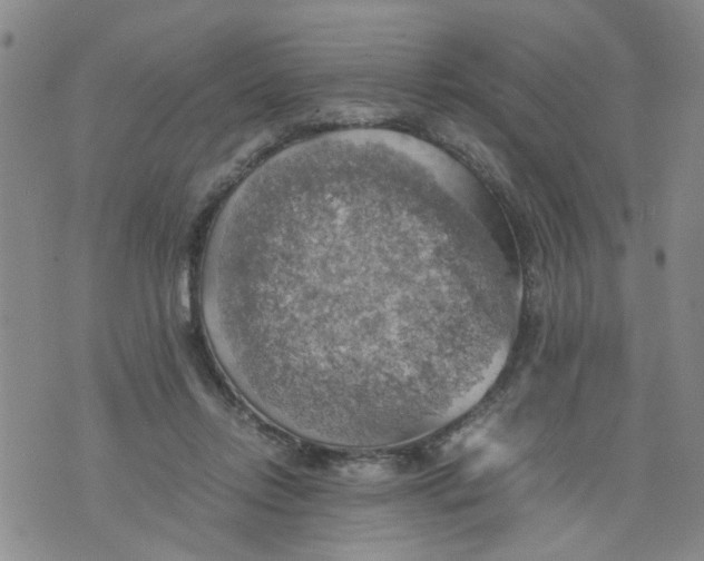 X0000075870358200610062008