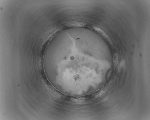 X0000075870359200610062008