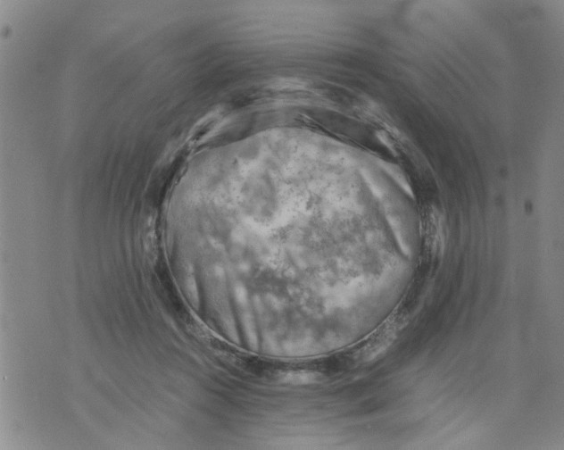 X0000075870360200610062008