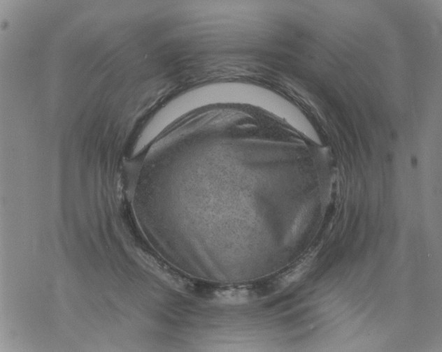 X0000075870362200610062008