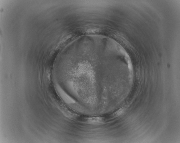 X0000075870363200610062008