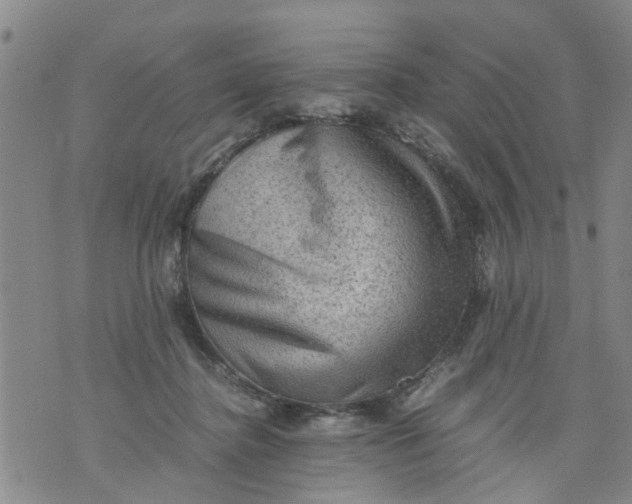 X0000075870364200610062008